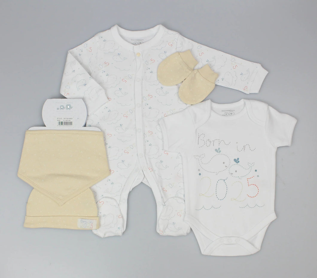 Born in 2025 Sleepsuit set