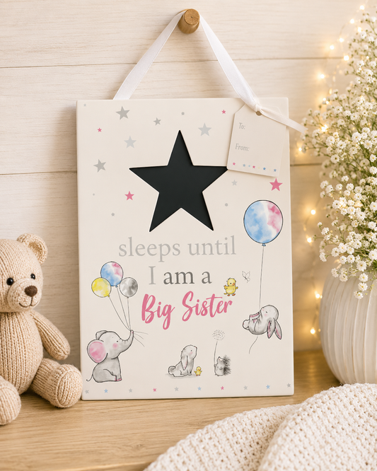 Sleeps until I’m a big Brother/Sister Hanging Sign