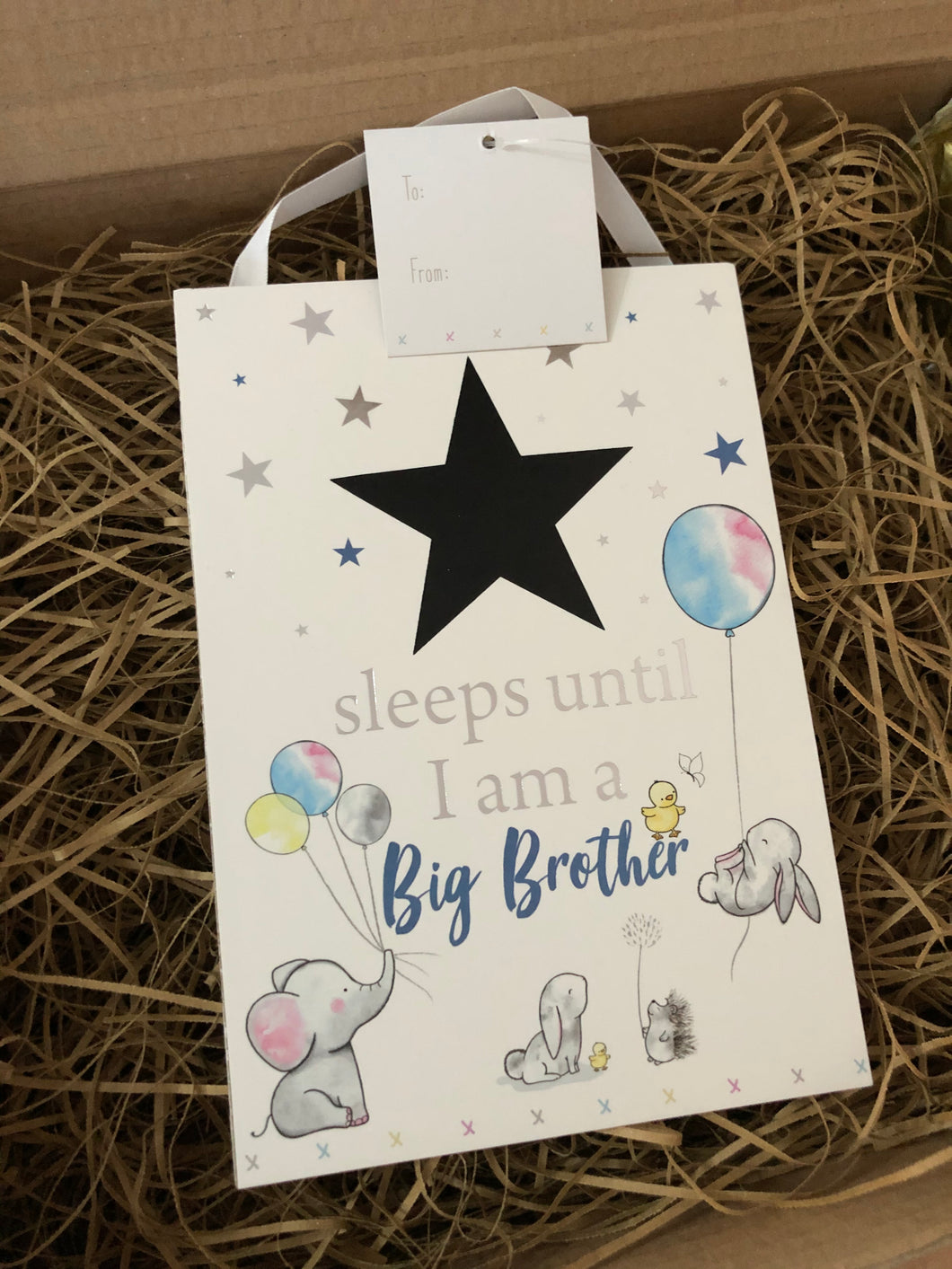 Sleeps until I’m a big Brother/Sister Hanging Sign