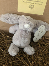 Load image into Gallery viewer, Soft Cuddly Teddies
