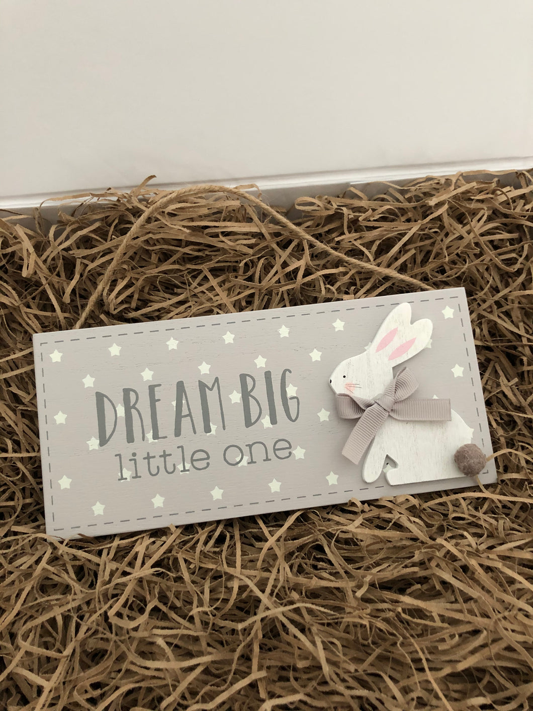Dream Big Little One Hanging Plaque