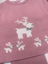 Load image into Gallery viewer, Dandelion Reindeer 2 Piece Set
