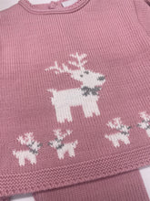 Load image into Gallery viewer, Dandelion Reindeer 2 Piece Set
